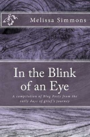 Cover of In the Blink of an Eye