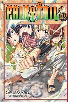 Book cover for Fairy Tail 29