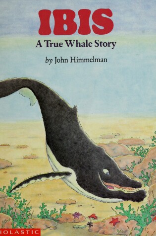 Cover of Wiggleworks Stage D - Ibis: a True Whale Story