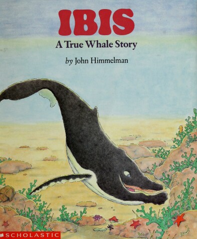 Cover of Wiggleworks Stage D - Ibis: a True Whale Story