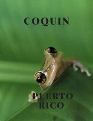 Book cover for Coquin Puerto Rico