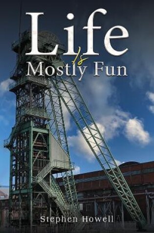 Cover of Life Is Mostly Fun