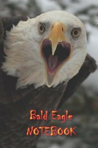 Cover of Bald Eagle NOTEBOOK