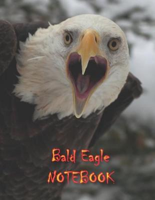 Book cover for Bald Eagle NOTEBOOK