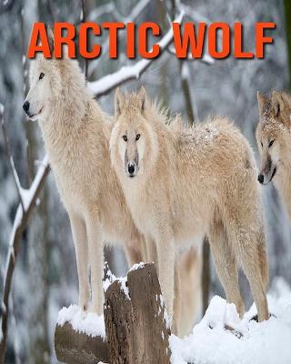 Book cover for Arctic Wolf