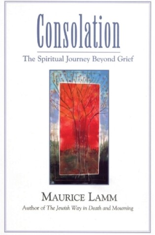 Cover of Consolation