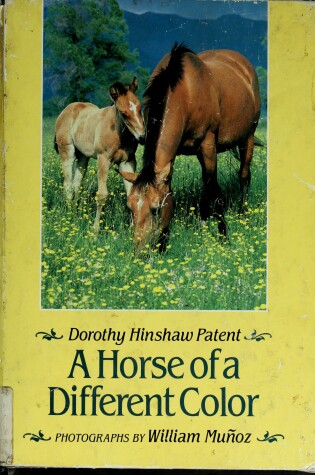 Cover of A Horse of a Different Color