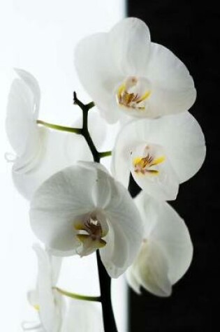 Cover of White Orchid Black and White Background Journal