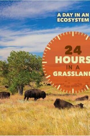 Cover of 24 Hours in a Grassland