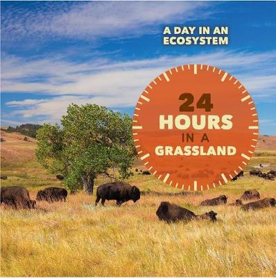 Book cover for 24 Hours in a Grassland