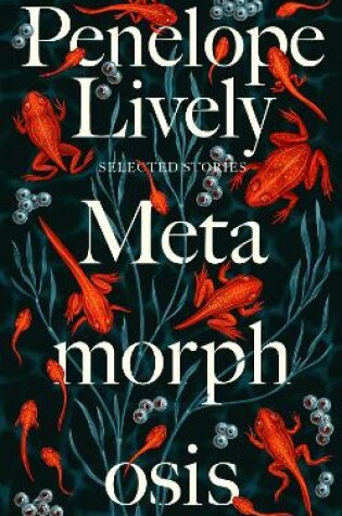 Cover of Metamorphosis