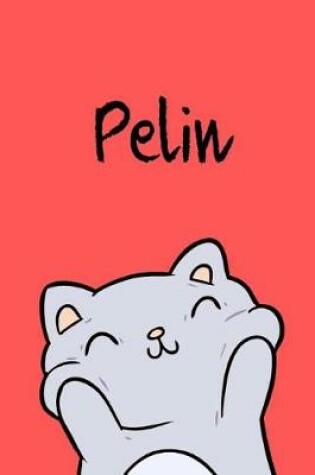 Cover of Pelin