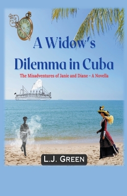 Book cover for A Widow's Dilemma in Cuba