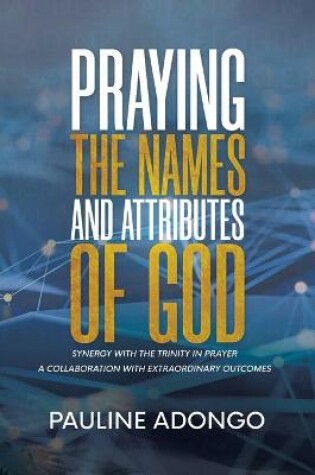 Cover of Praying the Names and Attributes of God