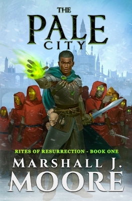 Book cover for The Pale City