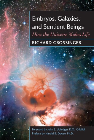 Cover of Embryos Galaxies Sentient