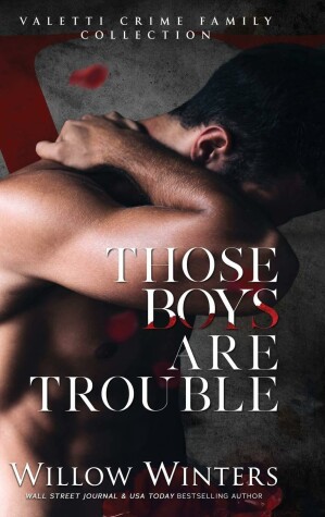 Book cover for Those Boys Are Trouble