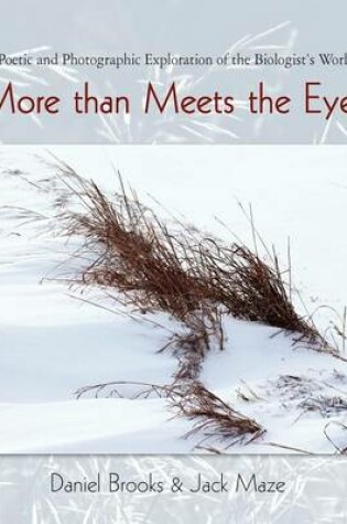 Cover of More Than Meets the Eye