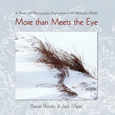 Book cover for More Than Meets the Eye