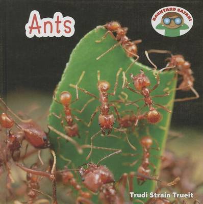 Cover of Ants