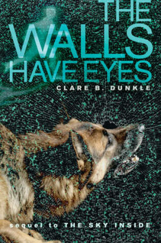 Cover of The Walls Have Eyes