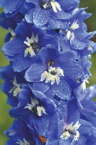 Cover of Brilliant Blue Larkspur Flowers Covered in Morning Dew Journal