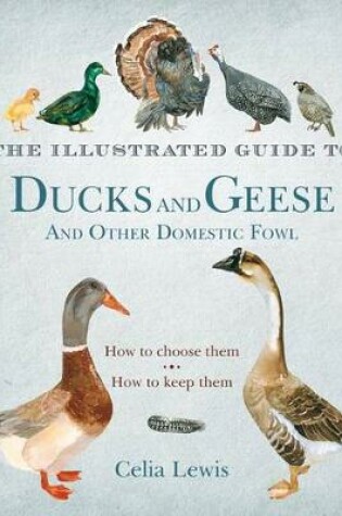 Cover of The Illustrated Guide to Ducks and Geese and Other Domestic Fowl