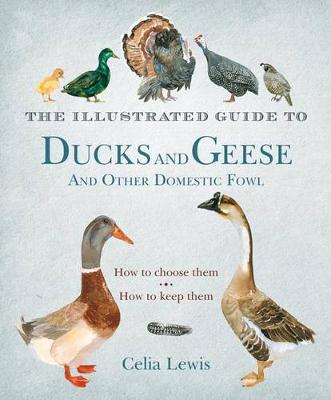 Book cover for The Illustrated Guide to Ducks and Geese and Other Domestic Fowl