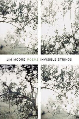 Cover of Invisible Strings