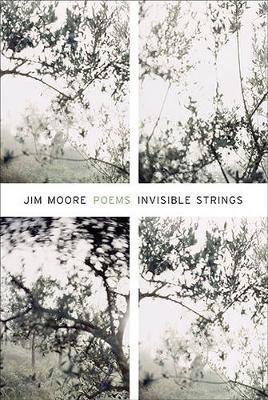 Book cover for Invisible Strings