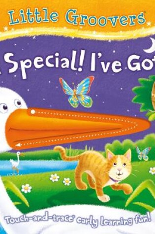 Cover of Little Groovers: I'm Special, I've Got