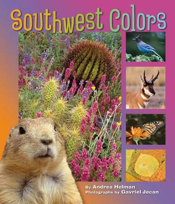 Book cover for Southwest Colors