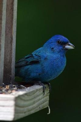 Book cover for Indigo Bunting (Passerina Cyanea) Bird Journal