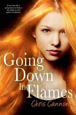 Book cover for Going Down in Flames