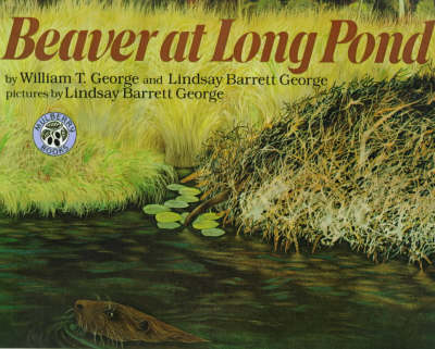 Cover of Beaver at Long Pond