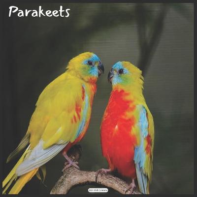 Book cover for Parakeets 2021 Wall Calendar