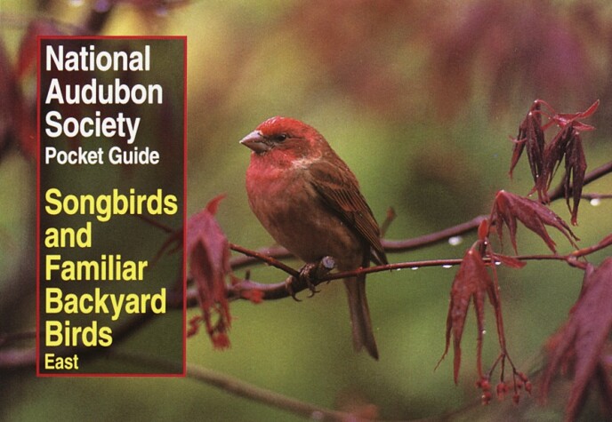 Cover of National Audubon Society Pocket Guide to Songbirds and Familiar Backyard Birds: Eastern Region