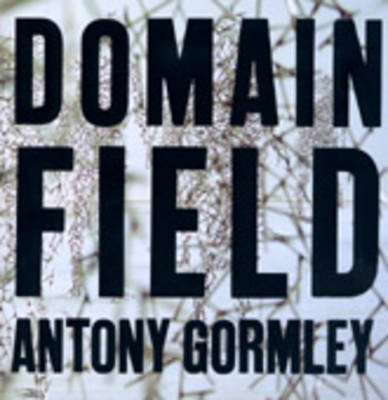 Book cover for Domain Field