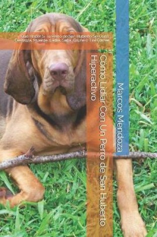 Cover of Como Lidiar Con Un Perro de San Huberto Hiperactivo