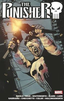 Book cover for The Punisher By Greg Rucka Vol. 2