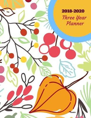 Cover of 2018 - 2020 Pumpkin Three Year Planner