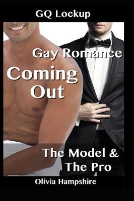 Book cover for Gay Romance