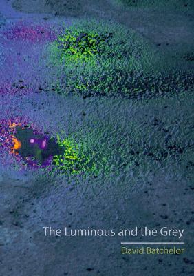 Book cover for The Luminous and the Grey