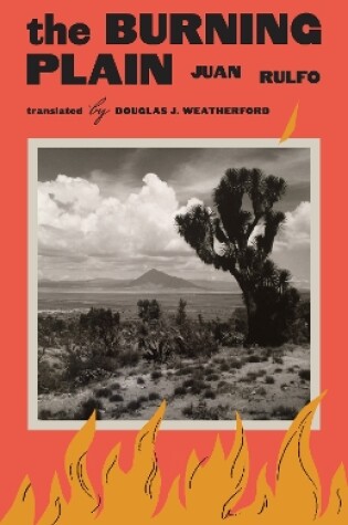 Cover of The Burning Plain