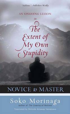 Book cover for Novice to Master