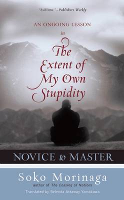 Book cover for Novice to Master