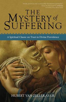 Book cover for The Mystery of Suffering