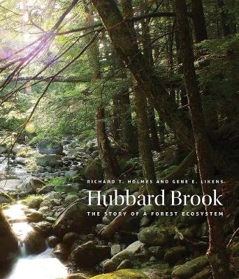 Book cover for Hubbard Brook