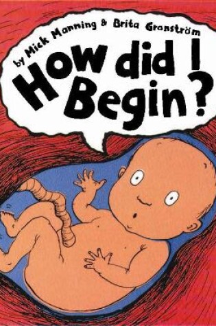Cover of How Did I Begin?