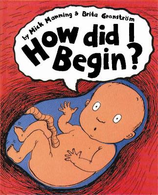 Book cover for How Did I Begin?